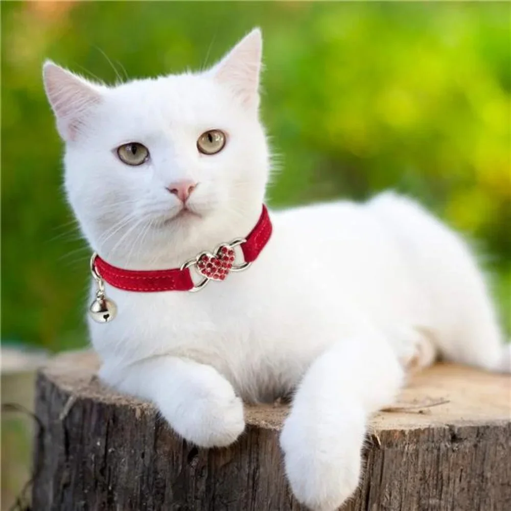 4 Pcs Rhinestone Cat Collar Heart Bling